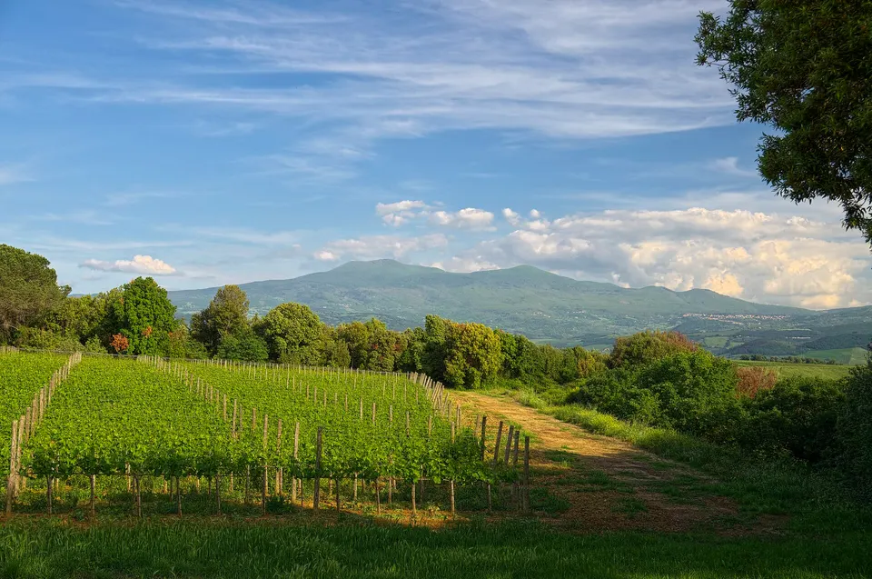Monte Amiata